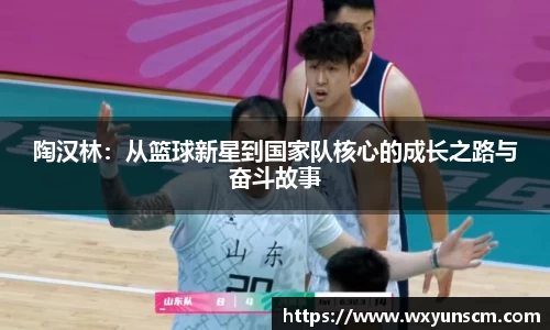 陶汉林：从篮球新星到国家队核心的成长之路与奋斗故事